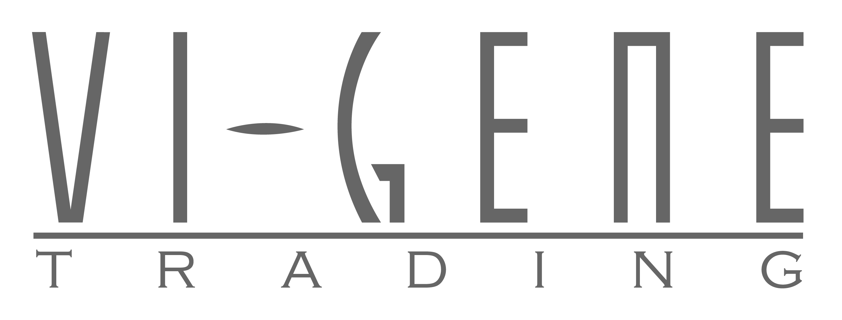 株式会社ヴィジーン・トレーディング