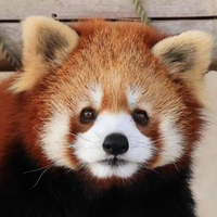 小林さんのプロフィール