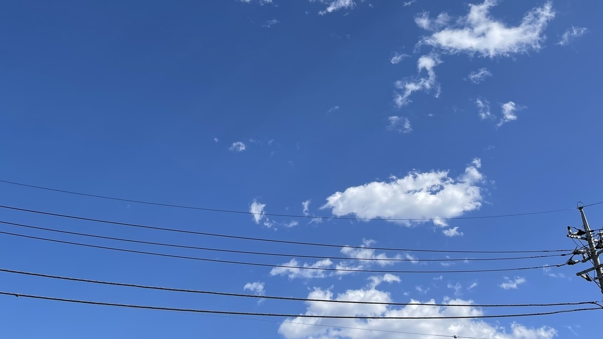 【スタートアップの日常】アジラでのとあるプロジェクトの物語