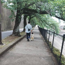 加藤  大典