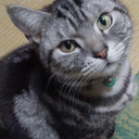 吉田 篤司