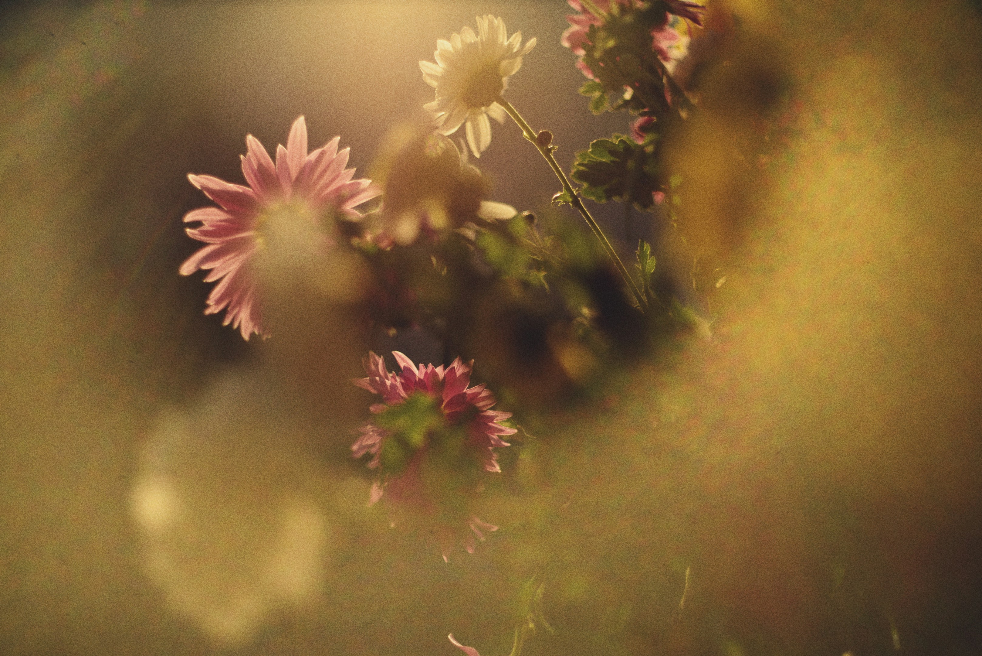 はじめまして。