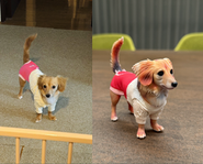 写真①：写真から３Dデータを作成します