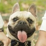 落合 治樹