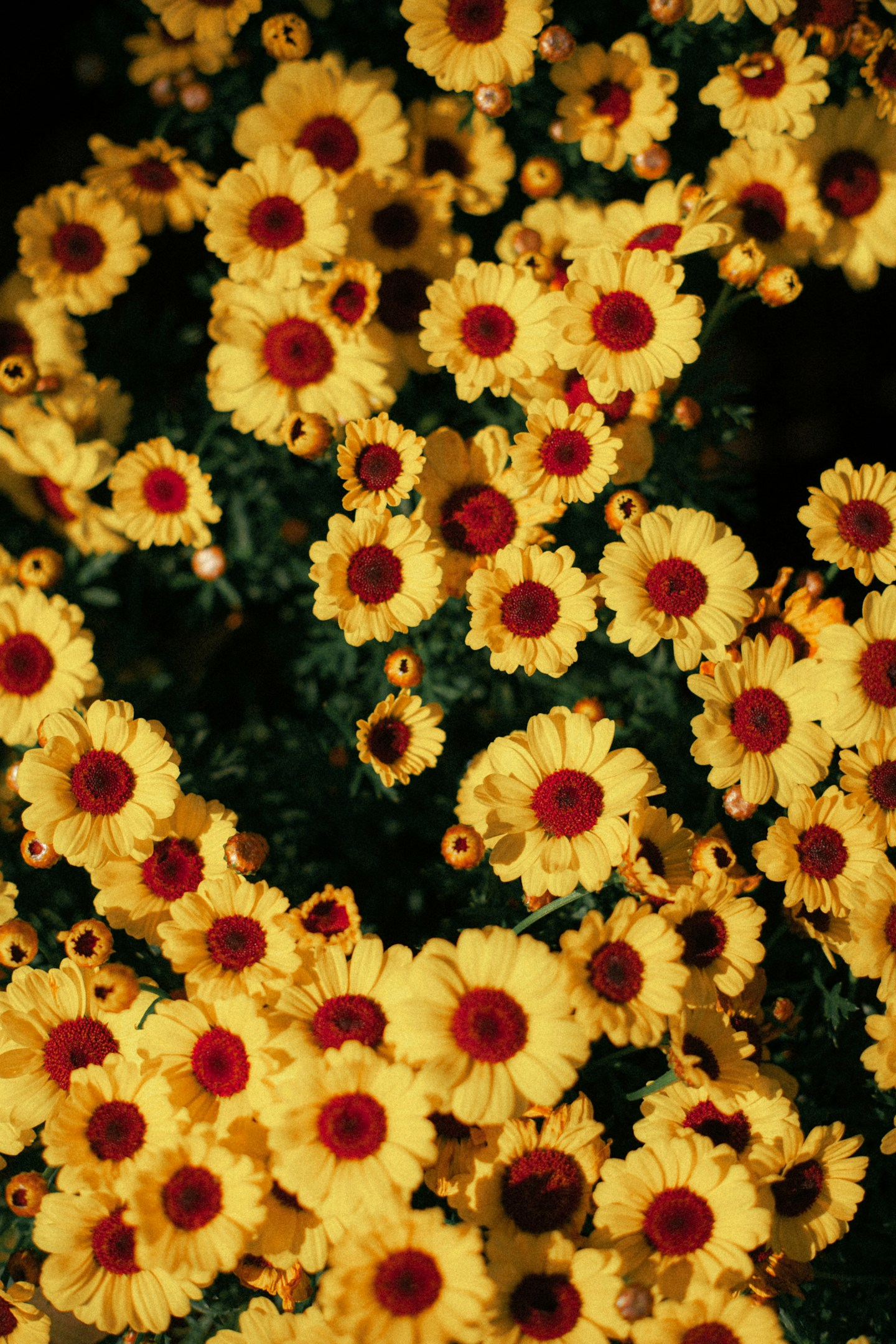 VOGUE風30の質問答えてみた