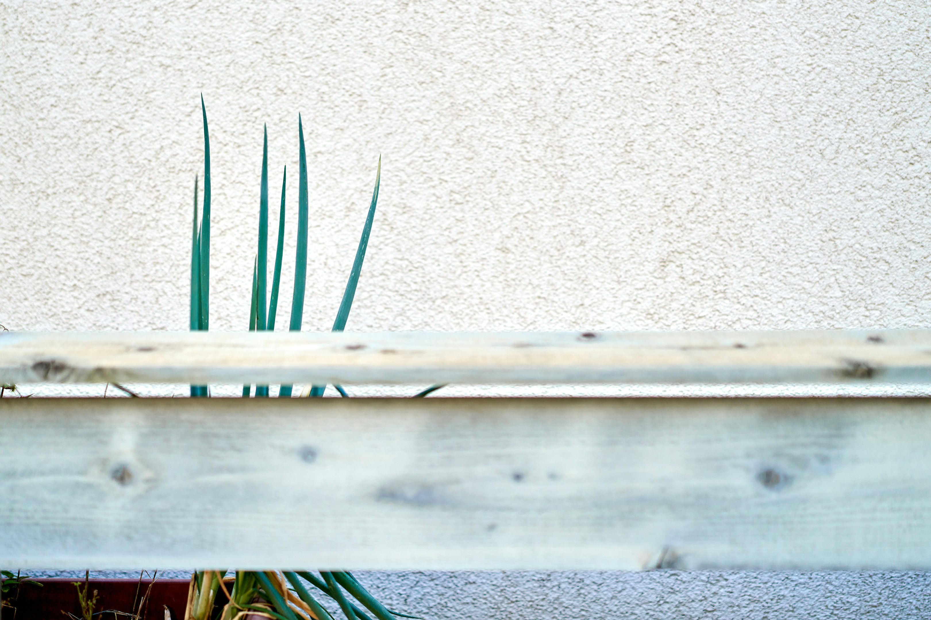 【前嶋拳人】透明なバケツが呼んでいた