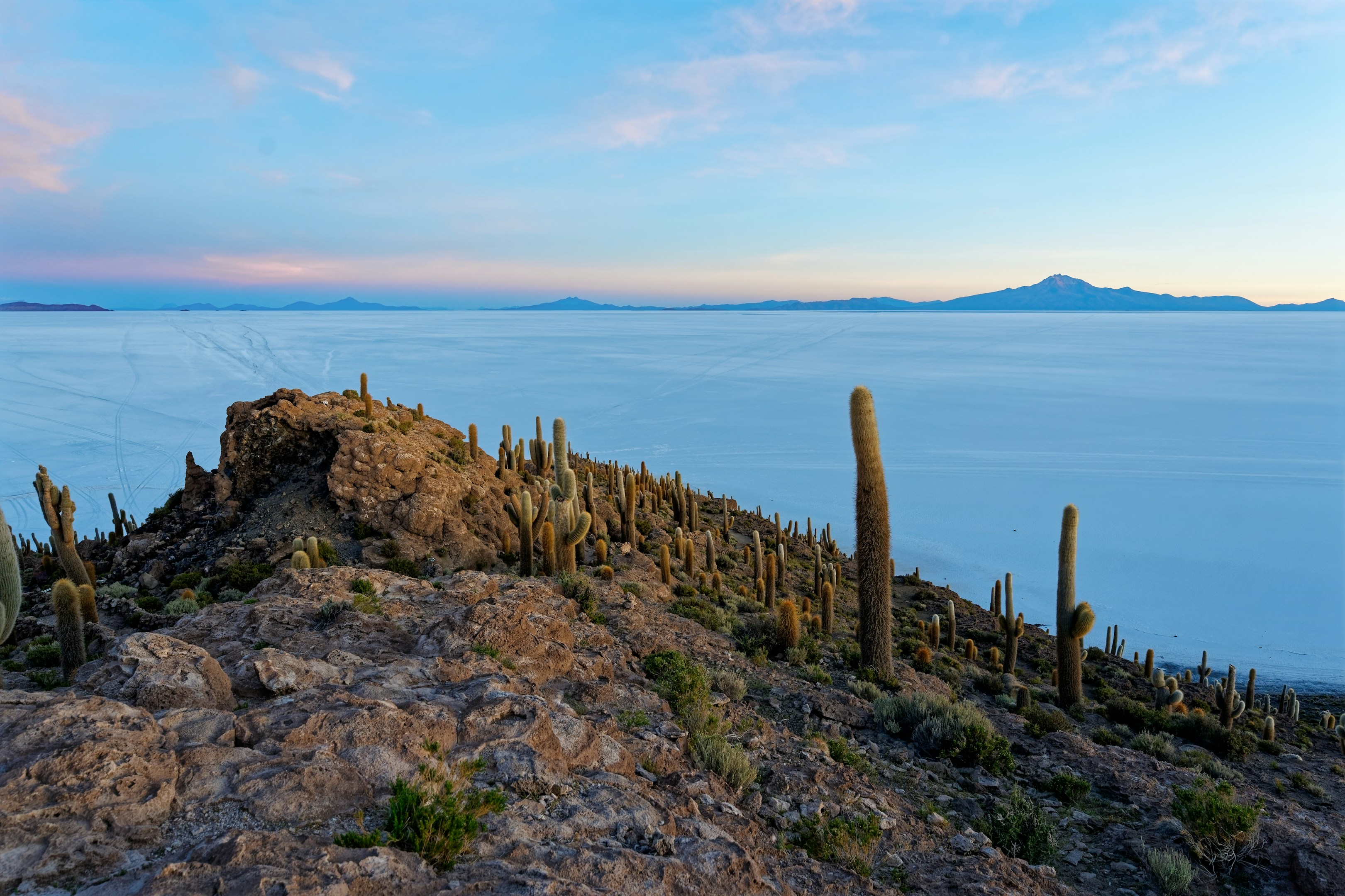 デジタルデバイド(情報格差)を解消する!!