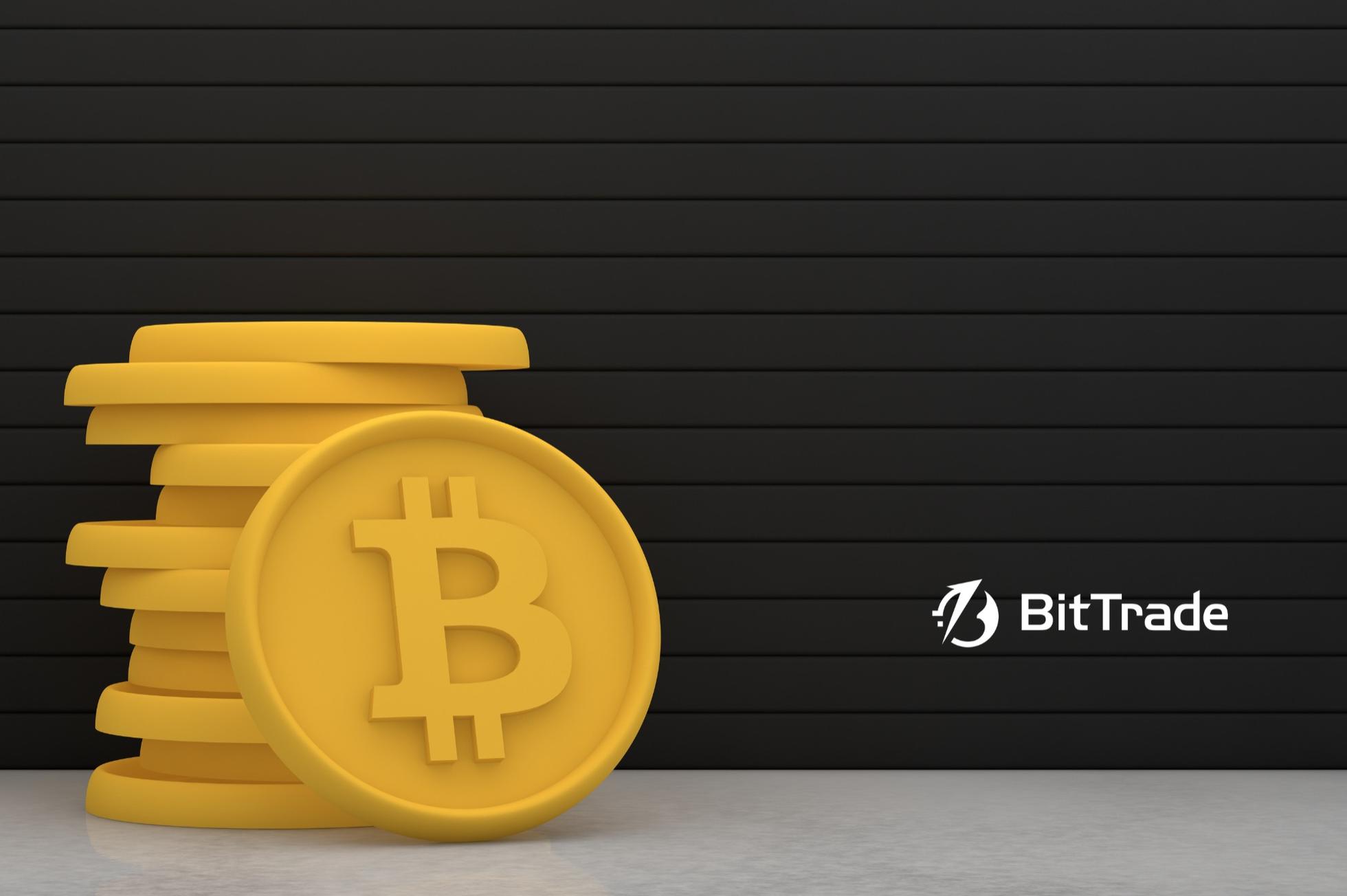 SE / オフィス勤務可能なSEさんたち、まだまだお待ちしてます！ - ビットトレード株式会社のWebエンジニアの採用 - Wantedly