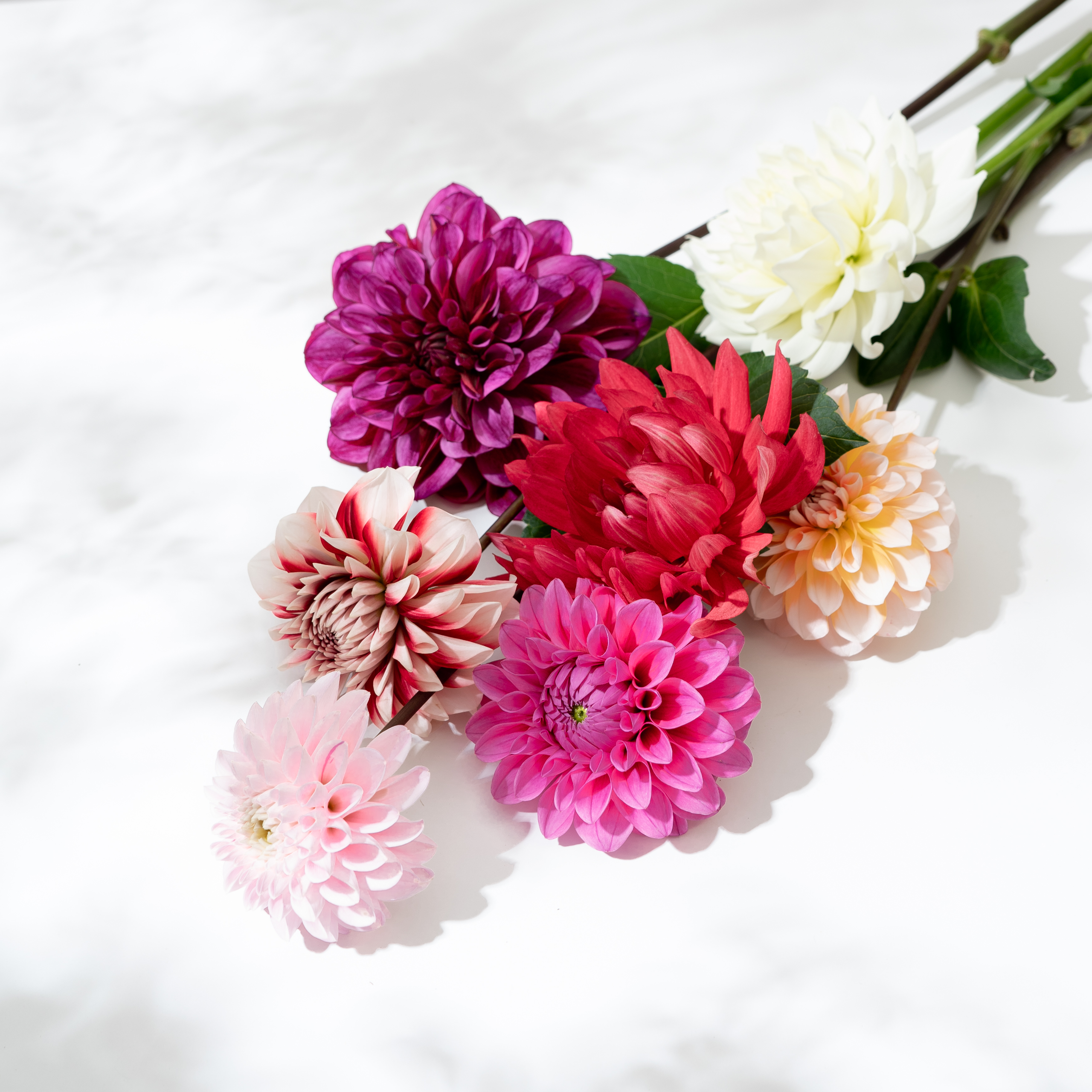 【Beer and Tech Interview ＃10】「Beer and Tech 一人目の人事」として、これまで見てきた風景とこれからのこと