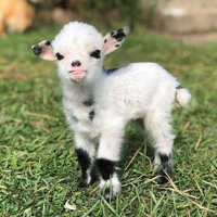 S Tさんのプロフィール