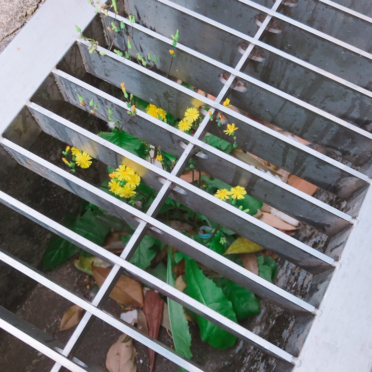 ぽかぽか陽気？と最近のお祝い