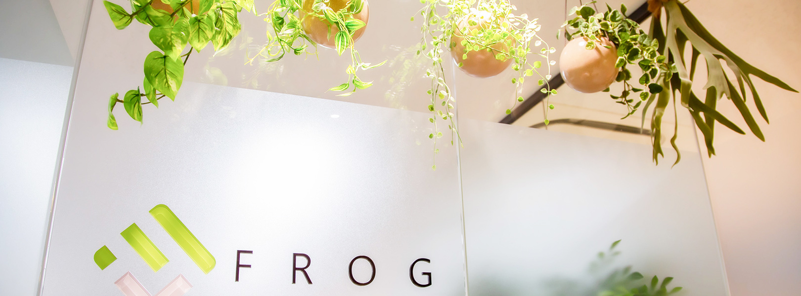 自社ブログを始めました。