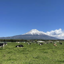 川添 悠作