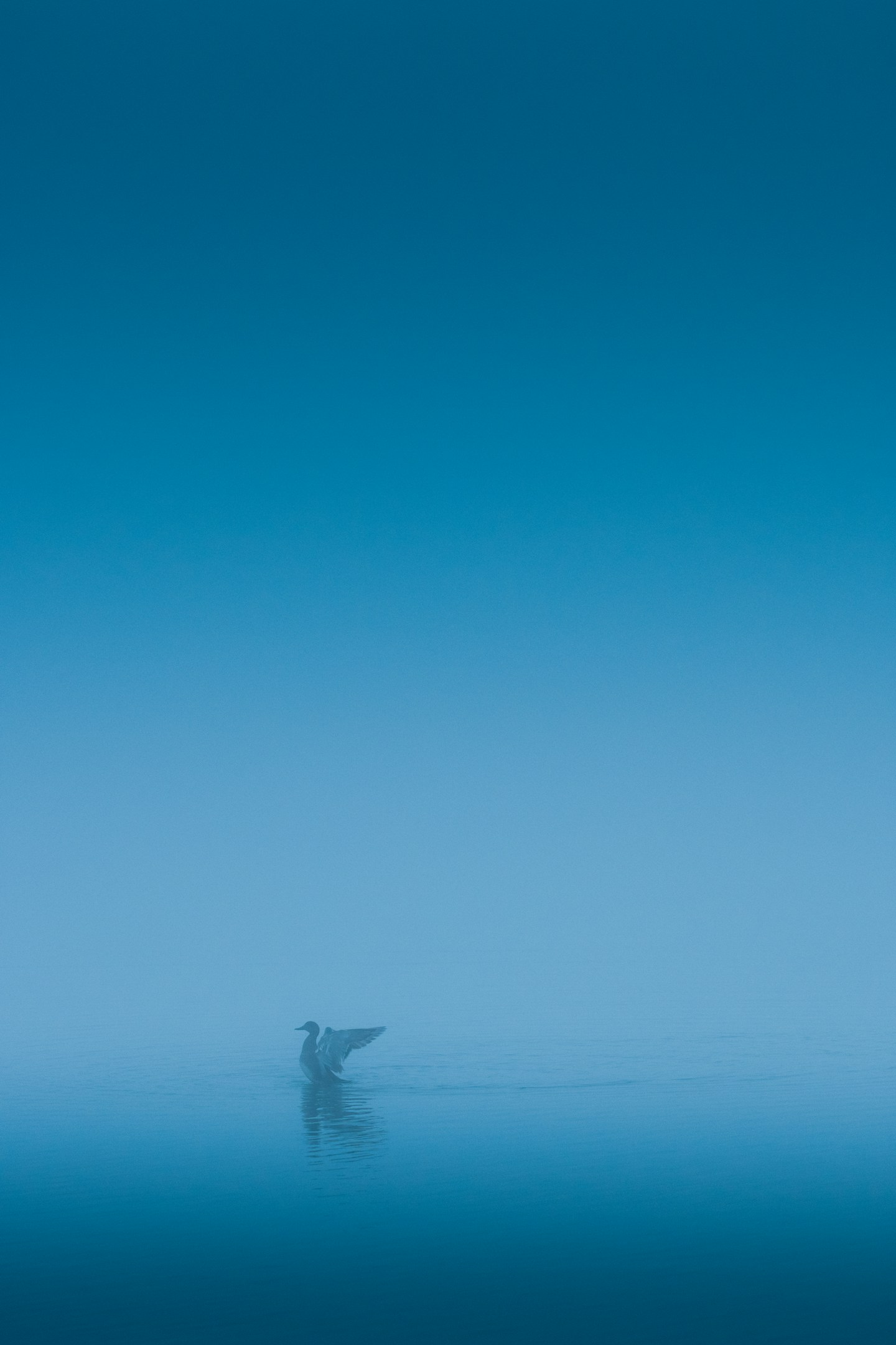 クルージングヨット教室物語２５２