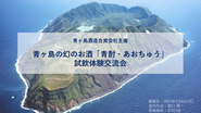 青ヶ島の幻のお酒「青酎・あおちゅう」試飲体験交流会【2月5日16時～ライブ配信】準備中です