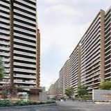Prestige Evergreen