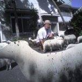 Shibao Kouichiro