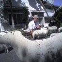 Shibao Kouichiro