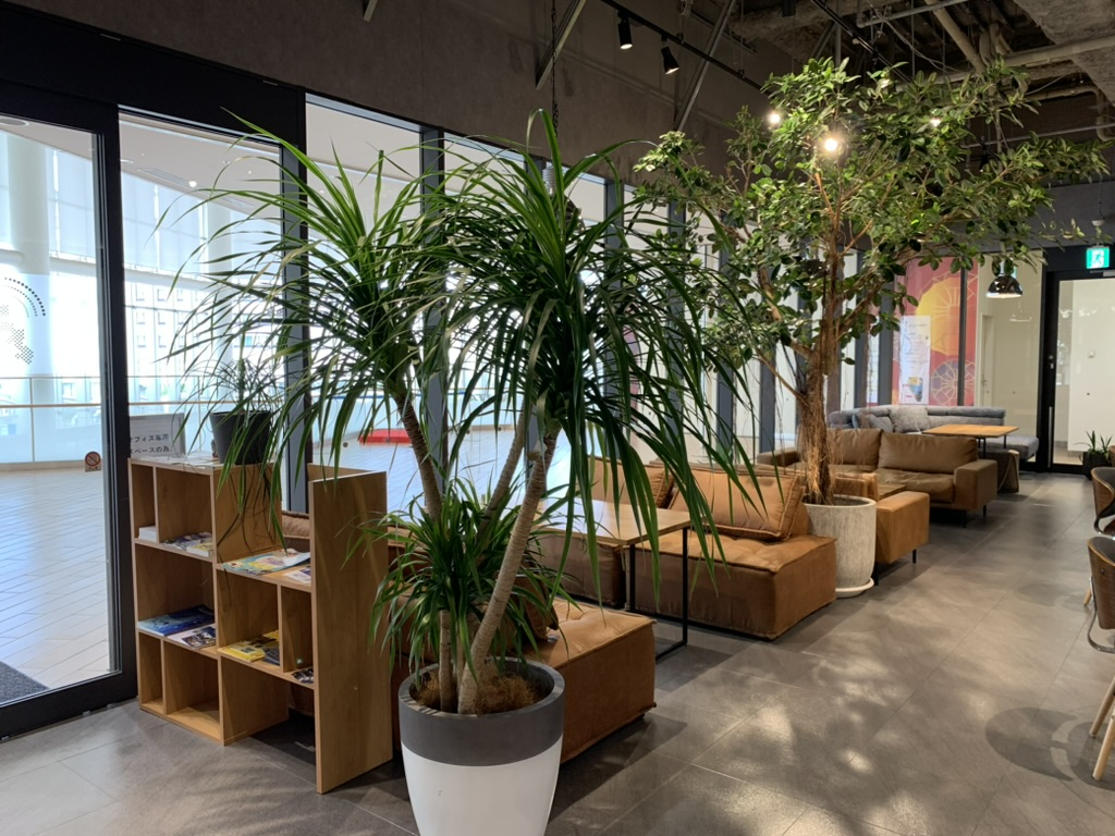 8月からの3名体制に向けて部屋を大きくします！