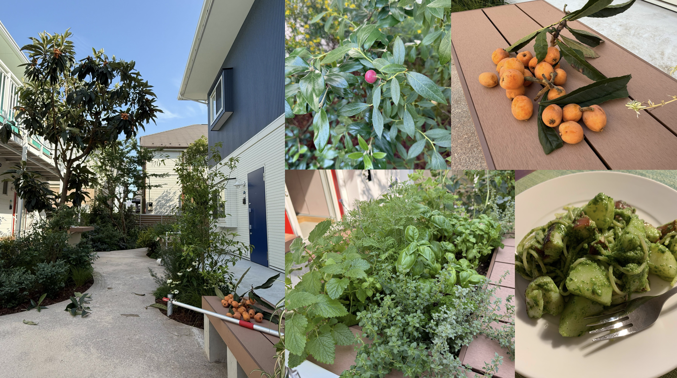 【まごころアパート日記 vol.1】