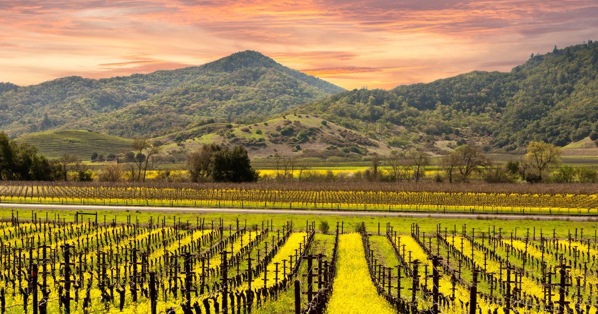 エンジニアブログ「MicrosoftのNapa.jsでJavaScriptをマルチスレッド化する」を公開しました。