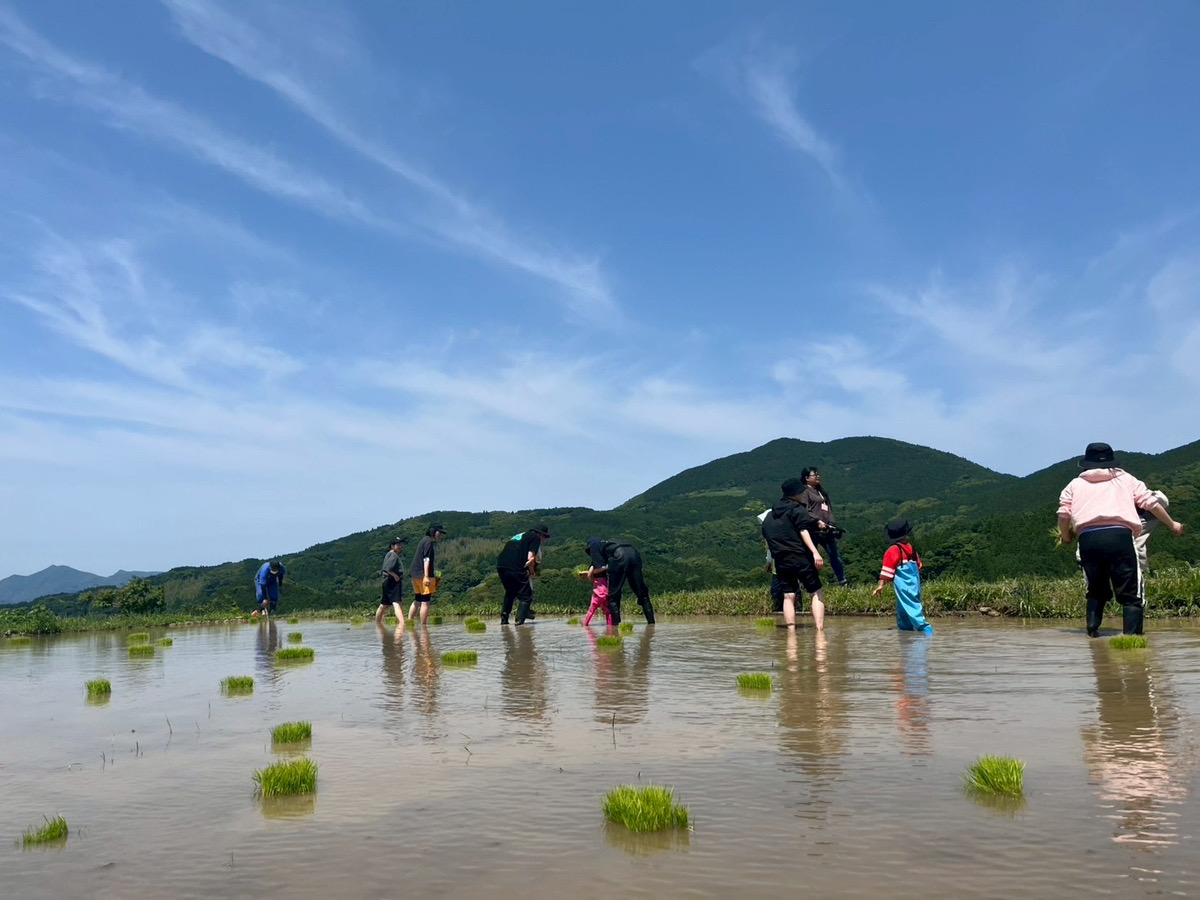 パソコンを置いて、田んぼへ。棚田オーナー活動の一日