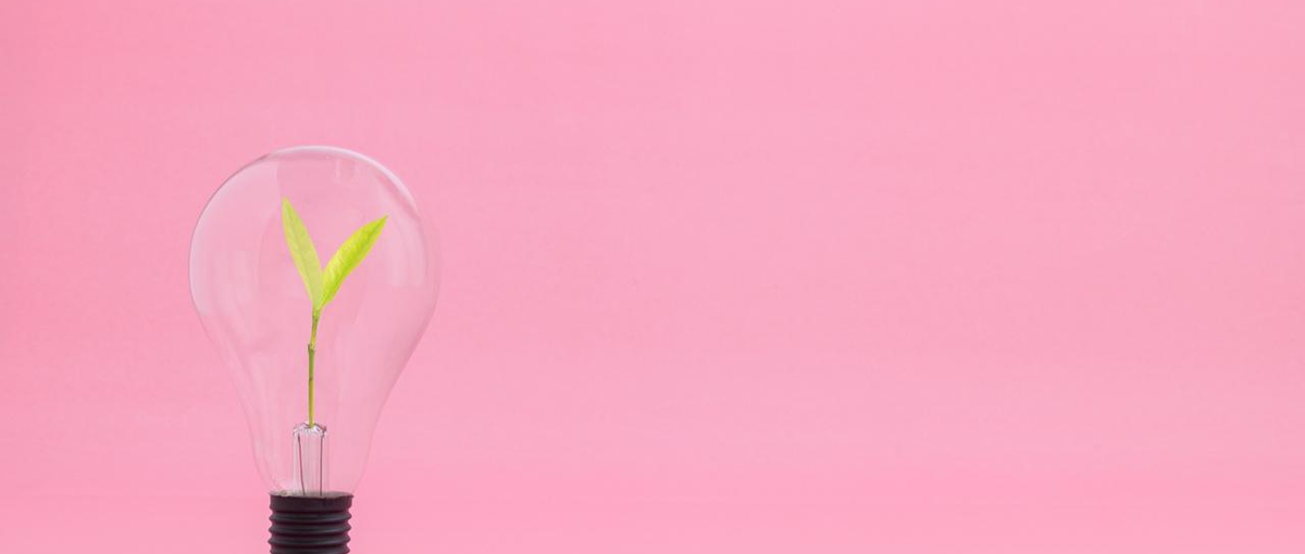 企画・運用・分析まで。SNSを活かすマーケティング職