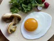 美しい目玉焼きの焼き方まで、たくさんのことが学べます。