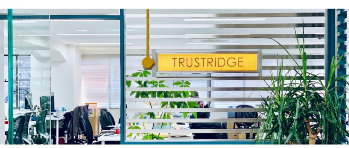  macaroni × メ〜テレの新体制が始動！セールスメンバー募集