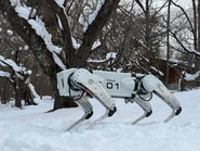 雪山での歩行実験