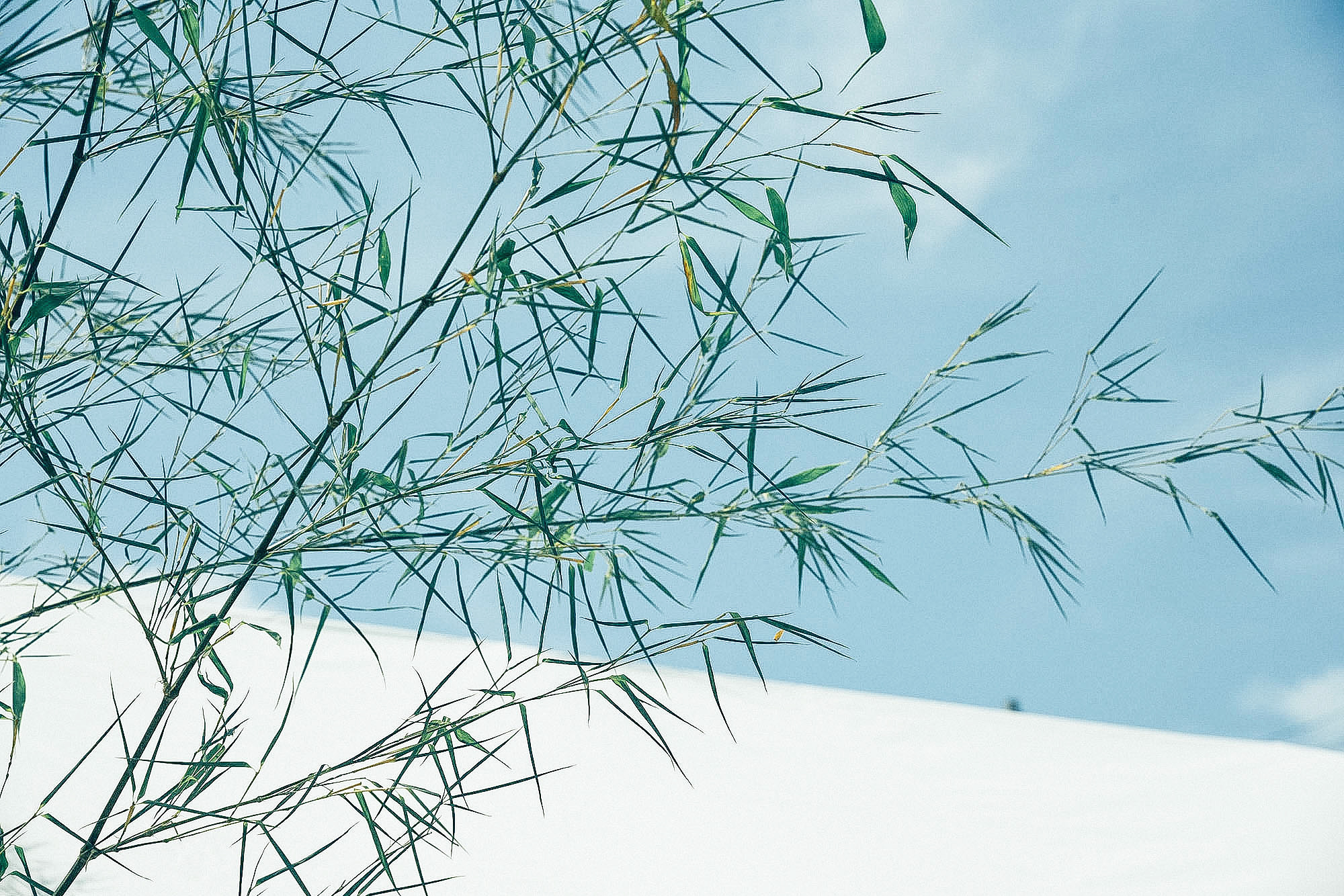 Instagramをはじめました。