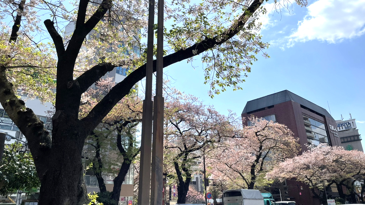 新入社員が入社しました🌸2023