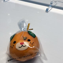 齋藤　学也