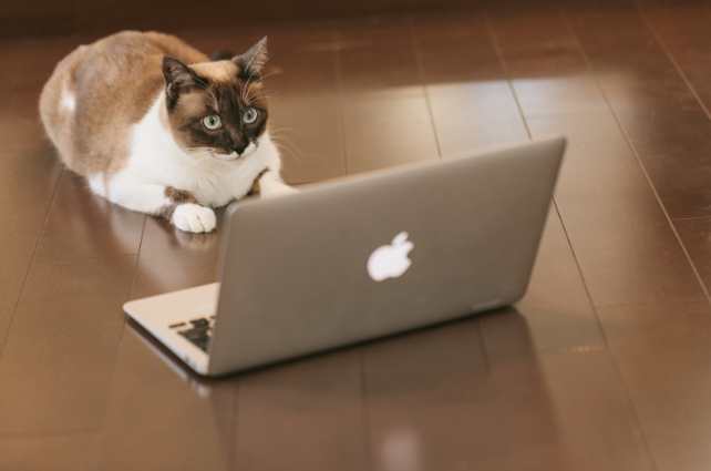 リモートワークをしてみて良かった3つのこと