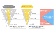 採用ブランディングの重要性