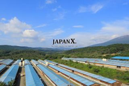 宮城ブランド豚「JAPAN X」生産・加工・販売を行っています。