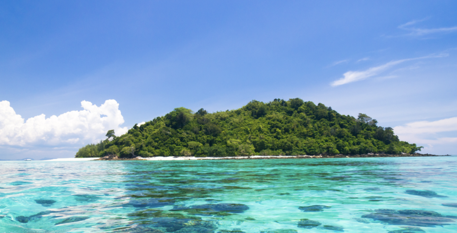 【創業秘話】無人島で出会った"生ごみ処理機"