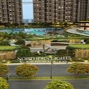Northern Lights Purva