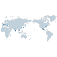 世界35か国に販売・製造拠点を持つグループ会社と協力