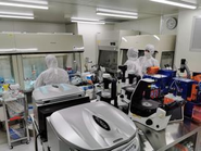 表参道ヘレネクリニック内CPCでの細胞培養業務の様子