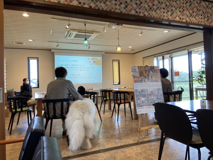 TAJIMAゼミ　愛犬との住まい方セミナー