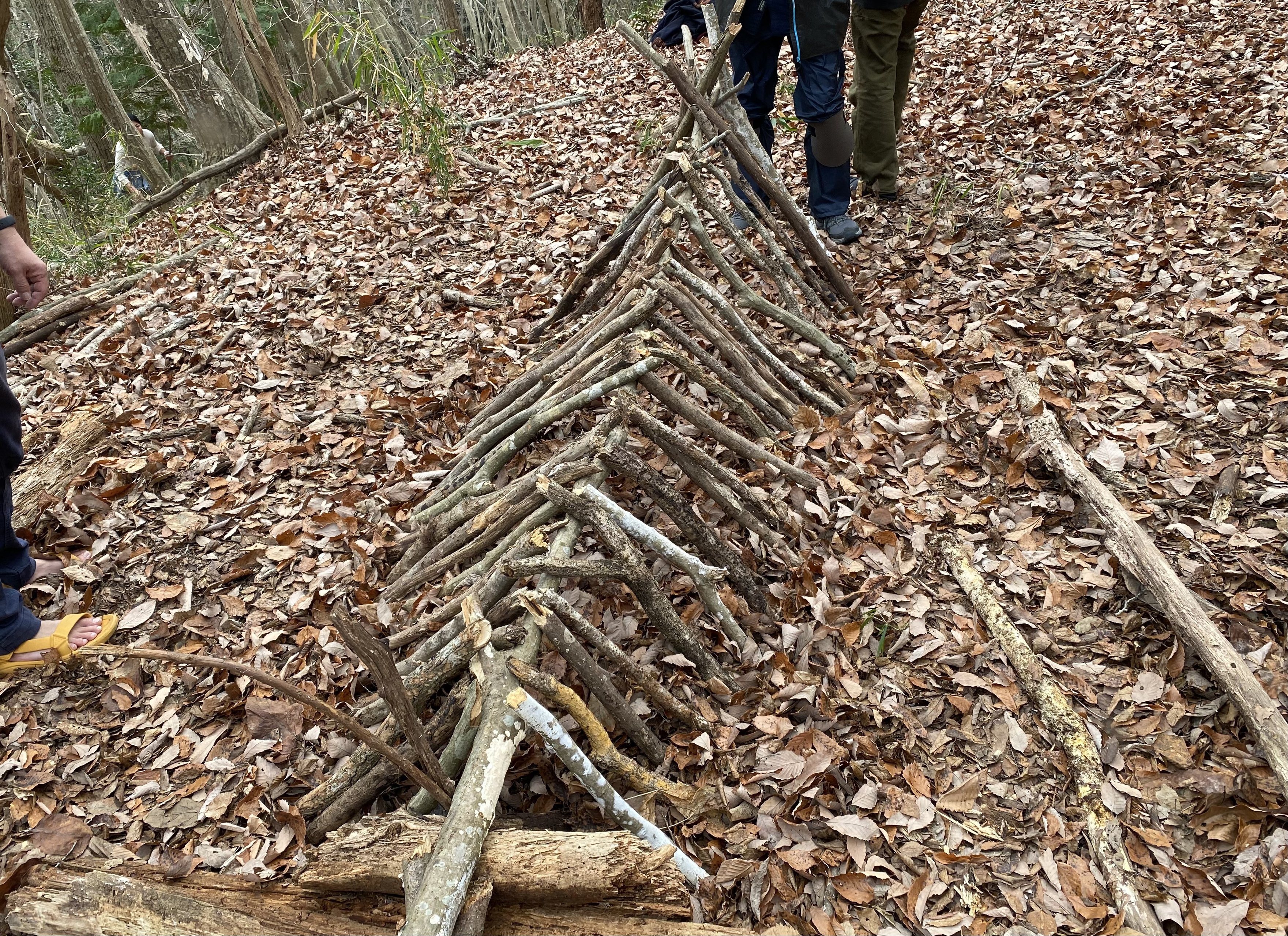 【社員コラム】有機的なゴミの中で眠る