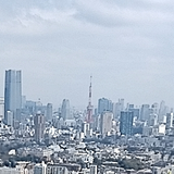 Toyokazu Hirade