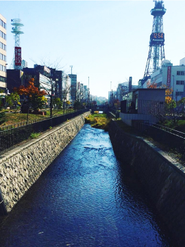 今回の募集は札幌！オフィスは都心にありながら自然に囲まれています！