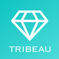 About 株式会社トリビュー