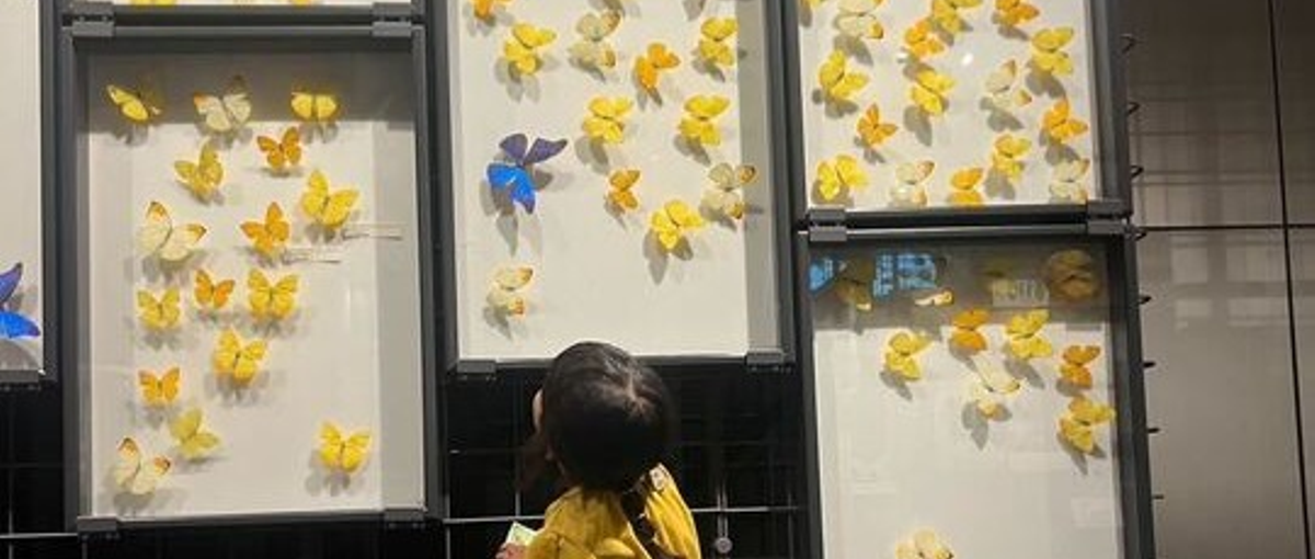 一人一人と向き合って納得のいくエンジニアライフを！社内定着率95％を誇る