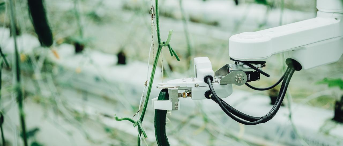 最新のアグリサイエンスバレー常総で、農業経験をアップグレードしてください