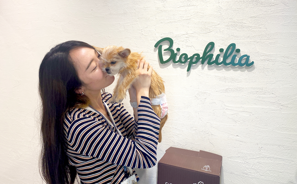 〈入社ブログ〉憧れの​広告代理店​で働いていた私がバイオフィリアに入社した理由