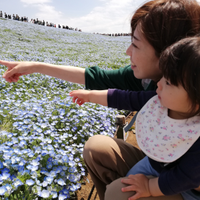 Mayuko Kajitani