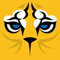 コトラ 新卒採用担当